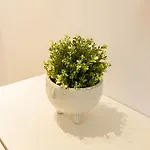 Deluxe Strada Apartament